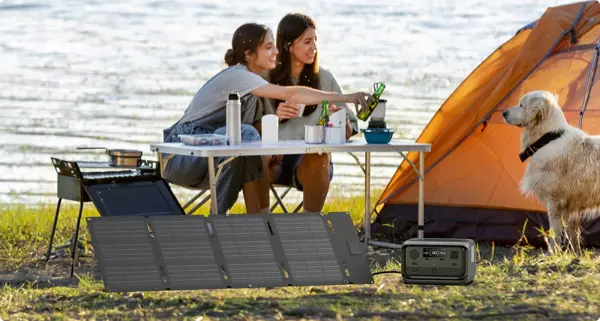 EcoFlow 60 W Solarpanel