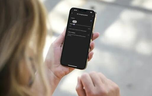 Die Steuerung der Batterie